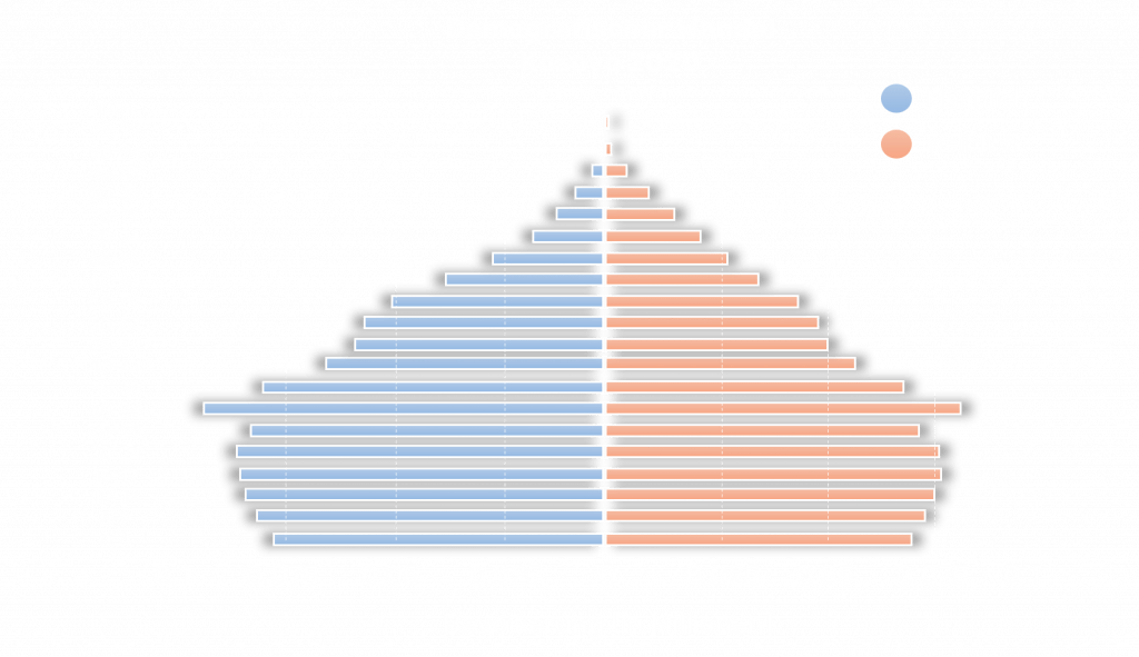 Demografischer Wandel Kosovo.